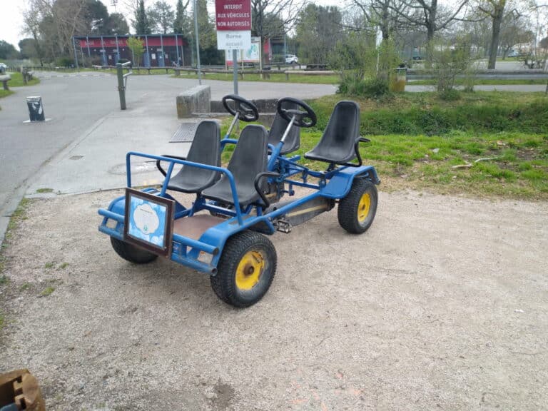 BUGGY